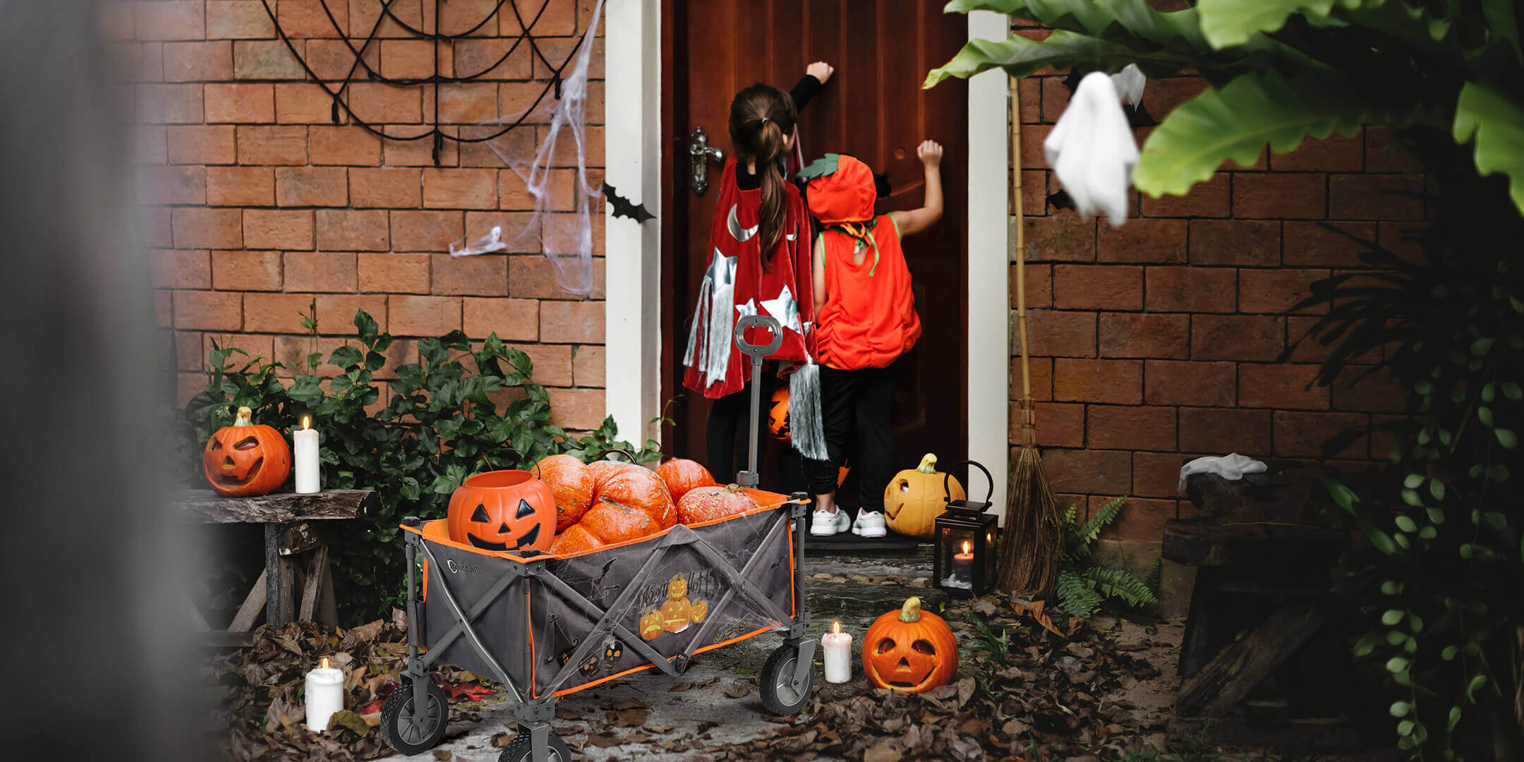 How to Throw a Backyard Halloween Party? - Portal Outdoors