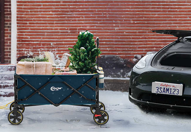 Holiday Gift Guide folding wagon