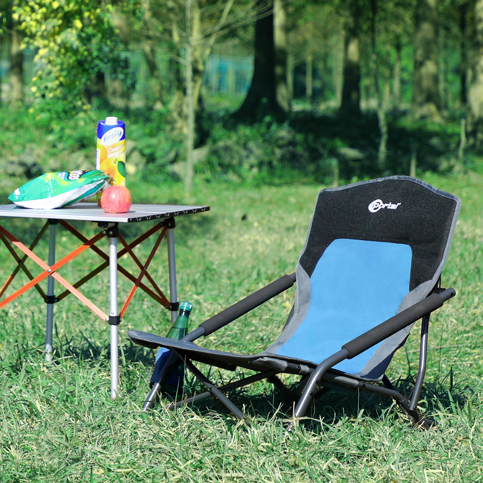 Garden Patio Folding Spring Deck Chair Camping Beach Picnic Fishing Outdoor  Seat